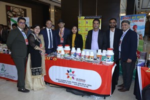 Octa Stall